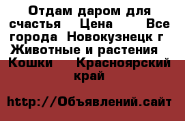 Отдам даром для счастья. › Цена ­ 1 - Все города, Новокузнецк г. Животные и растения » Кошки   . Красноярский край